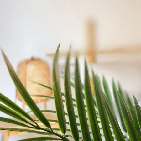 Casa Bamboo Corralejo, Relax, Piscina Y Parking Privado アパート