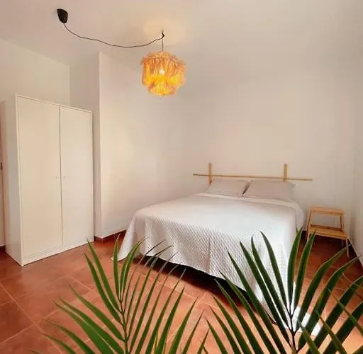 Big Spacious Casa Bamboo Relax, Pool And Parking